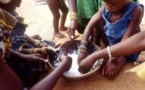 « Il n’y a pas de famine dans le monde rural », le gouvernement