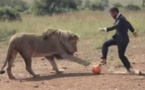 Image: Il joue au foot avec trois lions en pleine savane
