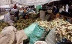 Au Kenya en pleine campagne électorale, le coût de la vie fait grincer des dents