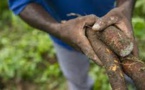 RDC: farine de manioc contre pénurie de blé
