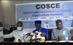 Scrutin législatif : les observations et recommandations de la MOE-COSCE