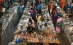 Côte d’Ivoire: le gouvernement veut booster l’industrie de la pêche