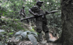 RDC : l'armée ouvre une enquête