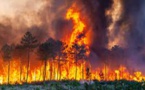 Le feu reprend en Gironde, plusieurs milliers d'hectares de forêts de pins brûlés