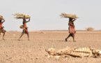 Somalie: un million de personnes déplacées par la sécheresse