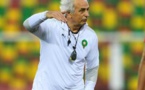 ​À quatre mois de la Coupe du monde, l'entraîneur du Maroc Vahid Halilhodzic licencié