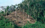 Madagascar: la protection des lanceurs d'alerte au coeur du sommet des défenseurs des droits humains de l'océan Indien
