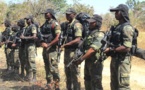 Cameroun: libération d'otages et succès militaire contre Boko Haram