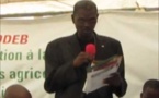 Préparation campagne agricole: Après avoir sillonné la Casamance, le CNCR dit craindre le pire