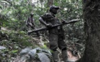 RDC: l’ONU plaide pour une reddition sans combat des FDLR