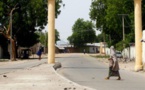 Ces femmes qui roulent pour Boko Haram