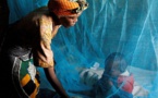 Paludisme: des mesures préventives ciblant les femmes enceintes