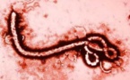 Le redoutable « monstre EBOLA » rode autour du Sénégal 