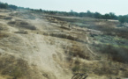Retard des pluies : le danger plane sur la zone Sahélien, les cultures menacées