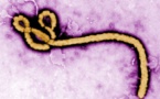 Ebola au Sénégal: les Saltigués du centre Malango de Fatick promettent d’extraire le virus du pays