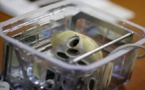 Santé: Un deuxième cœur artificiel implanté à Nantes