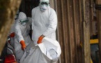 Ebola: plus de 2.400 morts, 4.784 cas