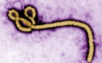 Ebola: actuellement, «on ne sait pas grand-chose sur le traitement»