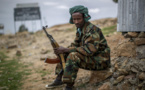 Ethiopie: les forces tigréennes ont commencé à rendre leurs armes lourdes