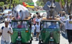 100 villes marchent pour les éléphants