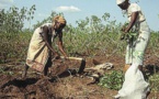 Forum «Notre futur» à Alger: comment orienter l’agriculture vers un mode de production durable