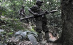 RDC: reddition des FDLR, trois mois après, aucun progrès