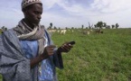 « A l'écoute du Sénégal » : une enquête innovante, par téléphone mobile
