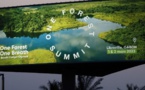 «One Forest Summit» au Gabon: protéger la forêt tropicale