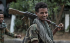 Le Parlement éthiopien retire le TPLF, parti des rebelles du Tigré, des entités terroristes