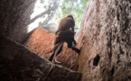 La RDC estime à un milliard de dollars par an les pertes liées au trafic illégal de minerais