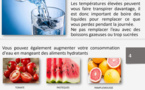 Voici quelques recommandations alimentaires pour le mois de ramadan