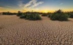 Changement climatique : Ces indicateurs qu'il faut retenir