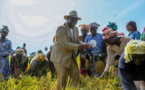 Campagne agricole : 100 milliards FCFA mis à la disposition des producteurs (Macky Sall)