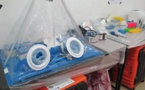 Ebola: un nouveau laboratoire mobile pour le Mali