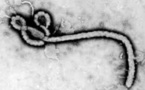 ​Ebola-Magal : Eva Marie Coll Seck rappelle les consignes d’hygiène