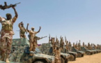 Tchad: deux groupes rebelles tchadiens signalés dans l’extrême-nord de la Centrafrique