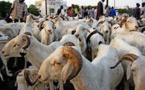 Tabaski 2023 : Amadou Bâ rassure les Sénégalais sur l’approvisionnement du marché en moutons