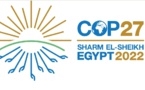 Les pays africains doivent s'opposer aux mesures de la COP27 qui empêchent l'Afrique d'utiliser pleinement ses combustibles fossiles (Par NJ Ayuk)