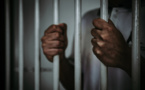 Kolda : Boubacar Ndaw condamné à 10 ans de prison pour le meurtre de son frère