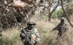 Casamance : cinq (5) soldats blessés dans les affrontements avec le MFDC