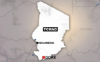 Tchad: nouvelle flambée de violences entre éleveurs et agriculteurs dans le sud du pays