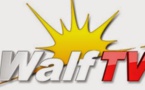 Le Signal de Walf TV sur TNT coupé