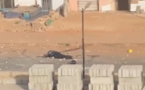 Affrontements aux Parcelles Assainies : cette image d'un policier sauvagement battu (vidéo)