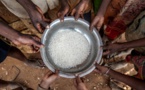 Crise alimentaire dans le Sahel en 2023 : 1,3 million de Sénégalais en situation d’urgence  
