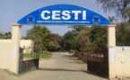 Boycott des cours en ligne : l'Amicale des étudiants du CESTI s’insurge contre les menaces de l’administration