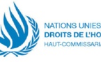 Félicitations du Haut-commissariat des Nations-Unies aux droits de l’homme au gouvernement : encore un mensonge ! (Par Cheikh Tidiane Dieye)