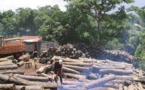 Protéger les journalistes enquêtant sur les crimes environnementaux en Afrique