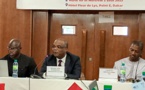Le NDI veut freiner la désinformation au Sénégal pour préserver la stabilité du pays