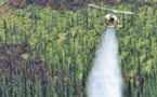 Les feux de forêts au Canada ont généré un record d'émissions de carbone