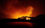 Canicule : le Portugal en proie aux flammes, l'Espagne en état d'alerte